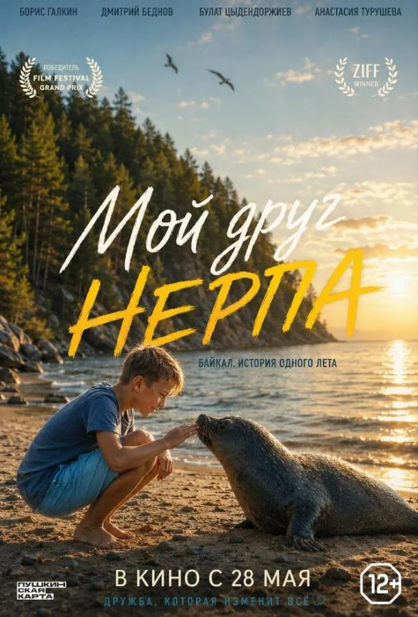 Постер к Мой друг нерпа (2025)