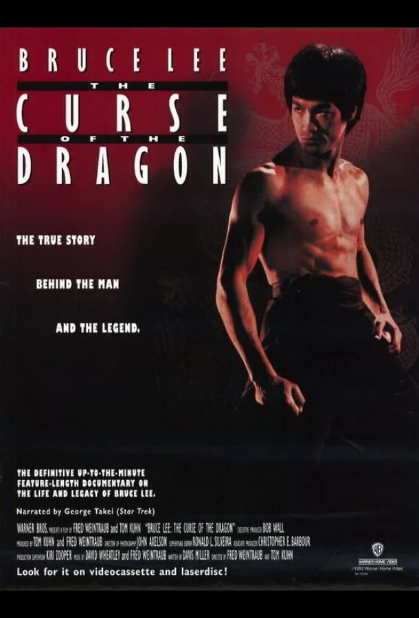 Постер к Проклятье дракона (1993)