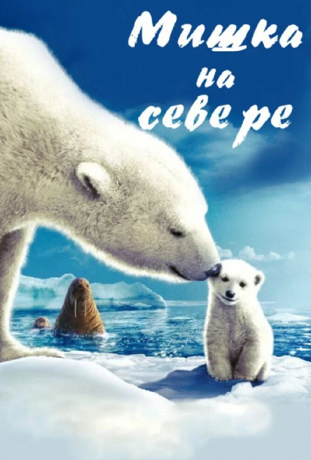 Постер к Мишка на Севере (2006)