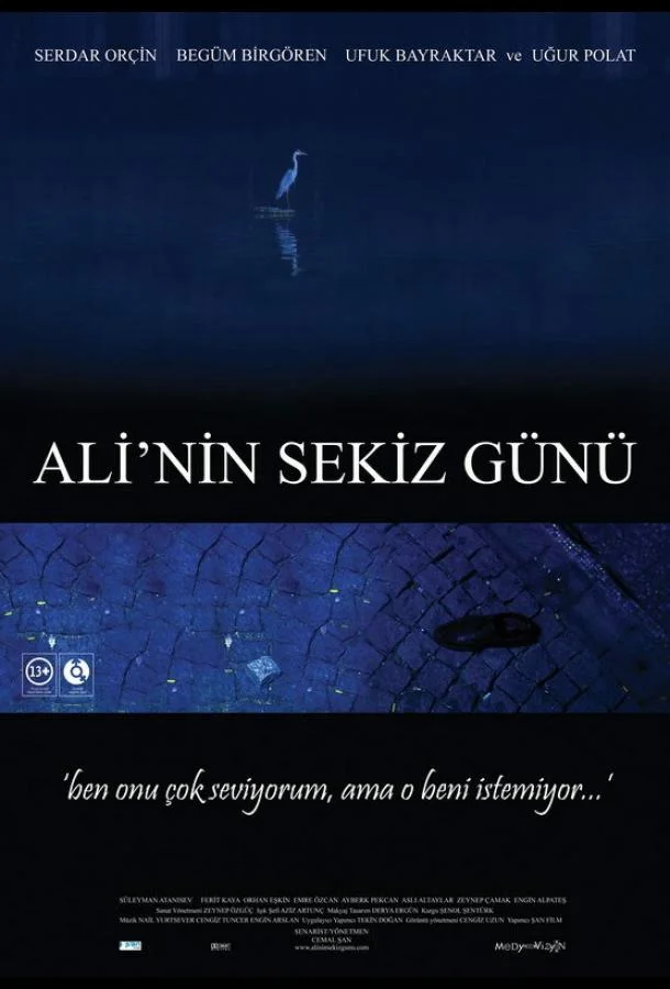 Постер к Восемь дней Али (2009)