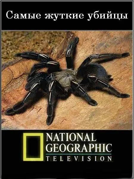 Постер к National Geographic. Самые жуткие убийцы (2009)