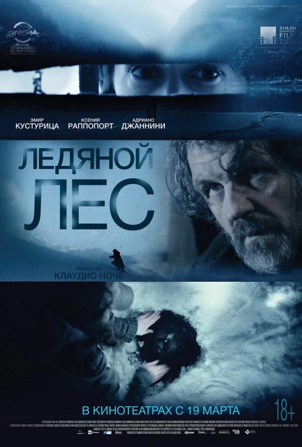 Постер к Ледяной лес (2014)